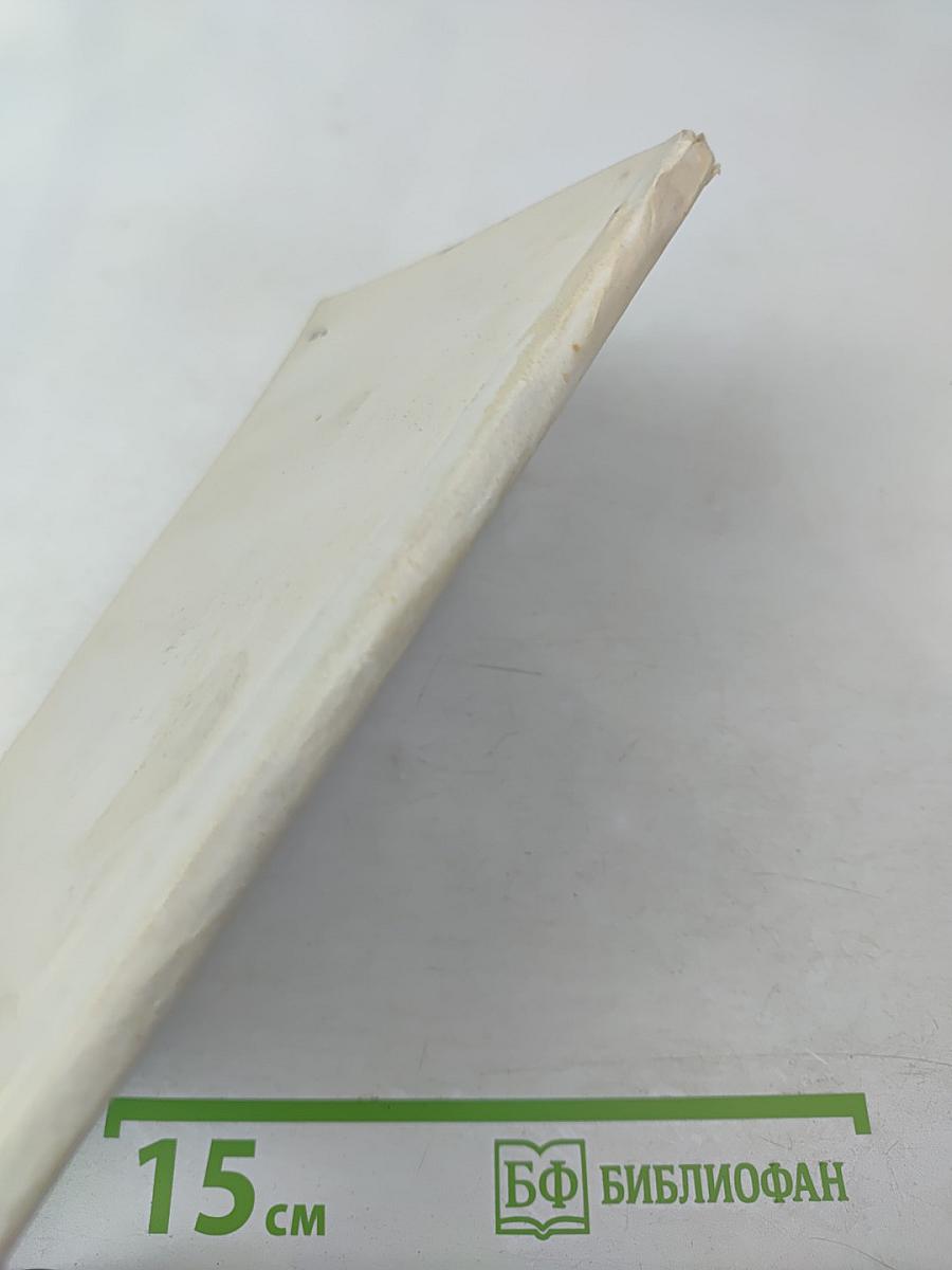 Тайга без эха