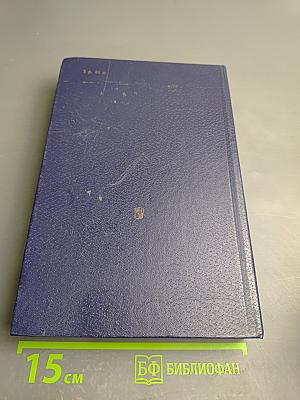 Школьный толковый словарь русского языка