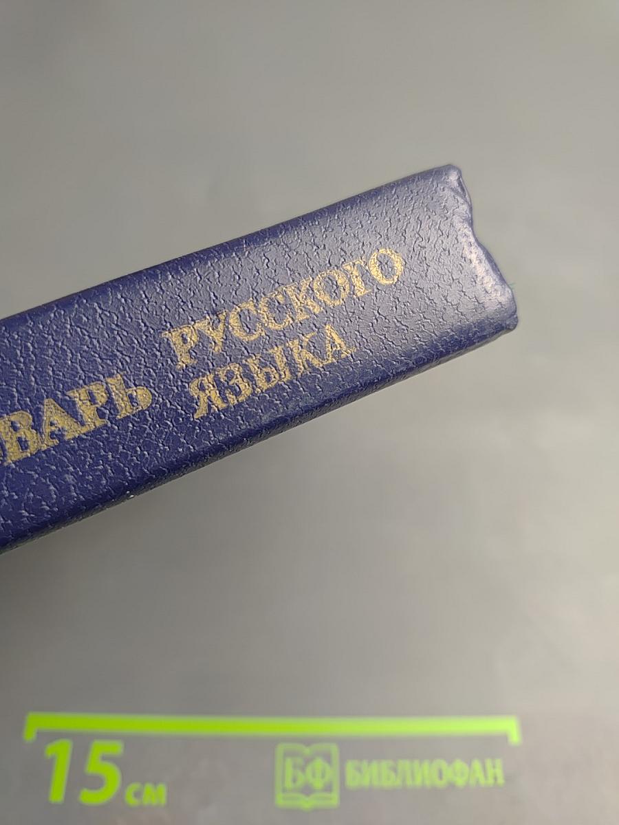 Школьный толковый словарь русского языка