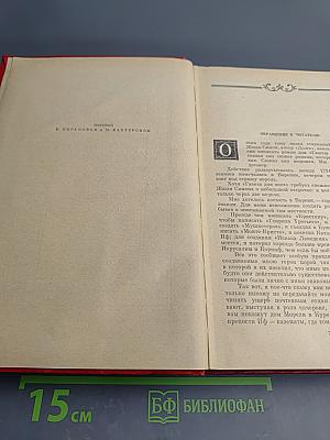 Соратники Йегу (Собрание сочинений. Том 10)