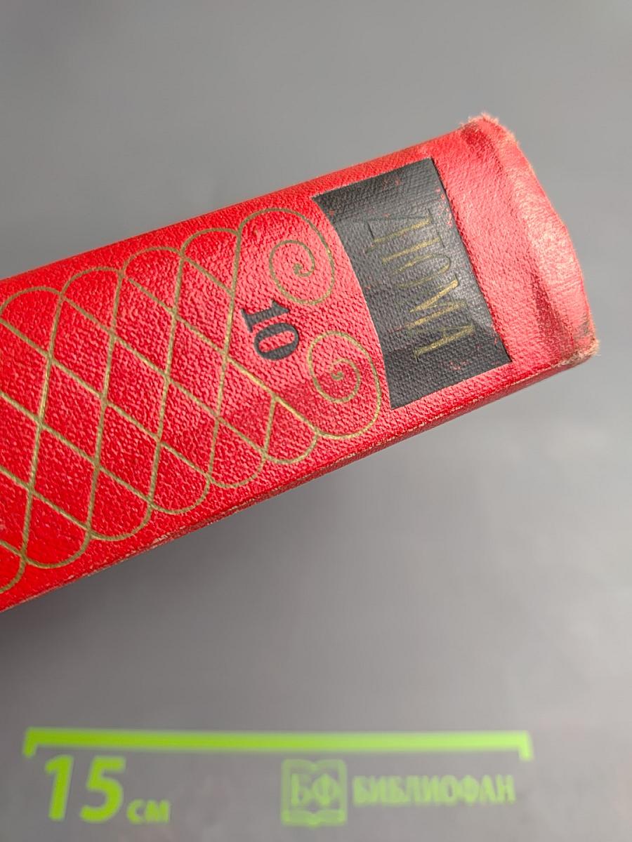 Соратники Йегу (Собрание сочинений. Том 10)