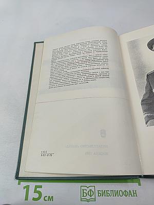 Москва - Сталинград - Берлин - Прага: Записки командарма