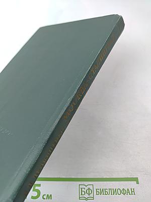 Москва - Сталинград - Берлин - Прага: Записки командарма