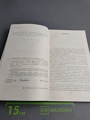 В поисках духовной опоры