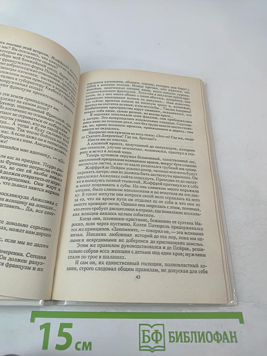 Анжелика в Новом Свете (Книга первая)