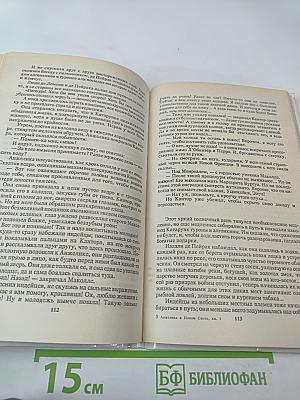 Анжелика в Новом Свете (Книга первая)