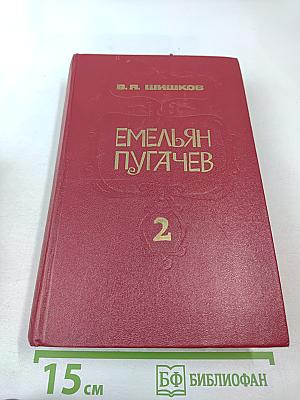 Емельян Пугачев, Книга 2