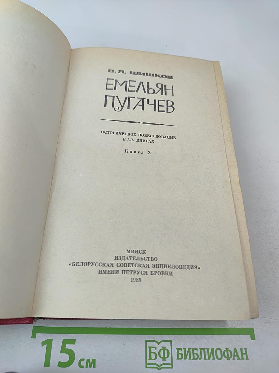 Емельян Пугачев, Книга 2