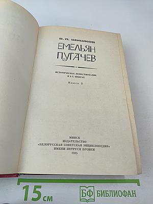 Емельян Пугачев, Книга 2