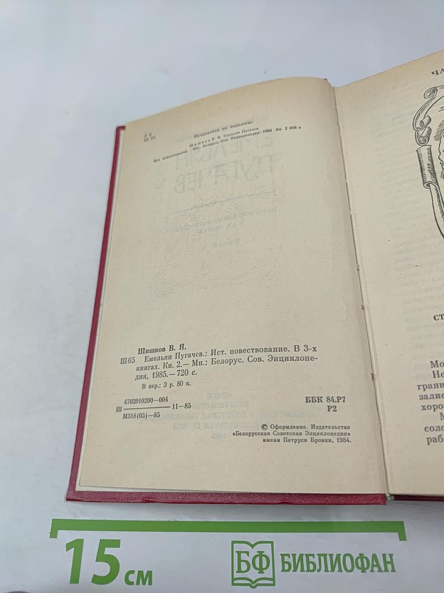 Емельян Пугачев, Книга 2