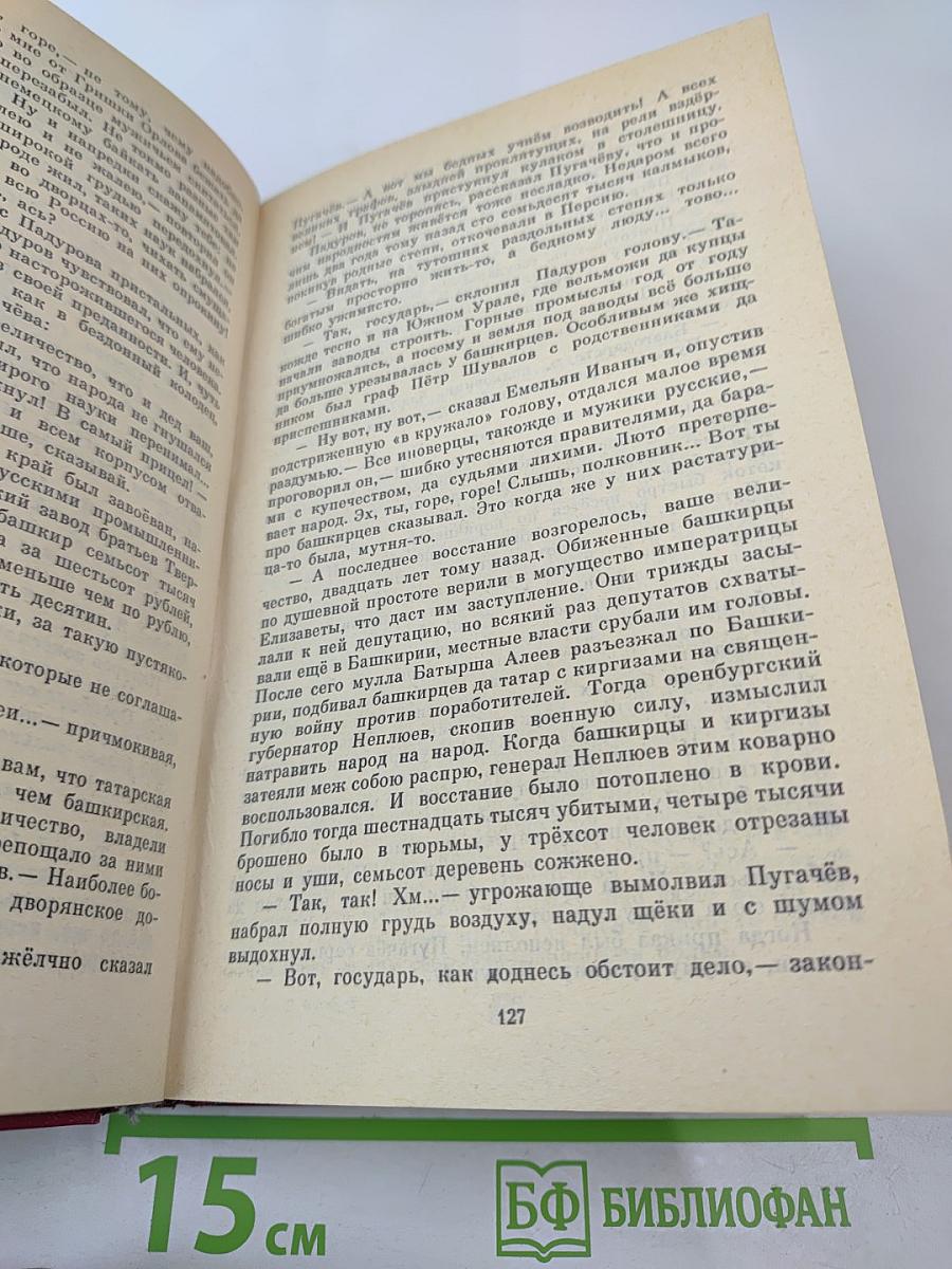 Емельян Пугачев, Книга 2