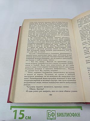 Емельян Пугачев, Книга 2