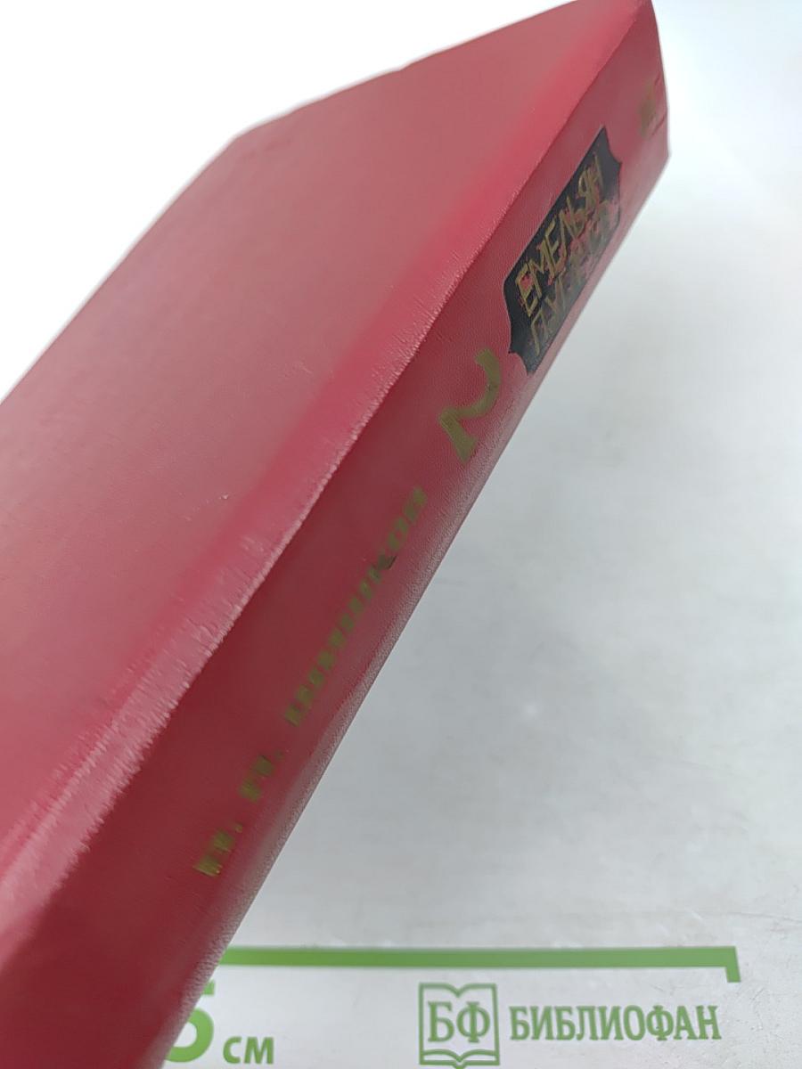 Емельян Пугачев, Книга 2