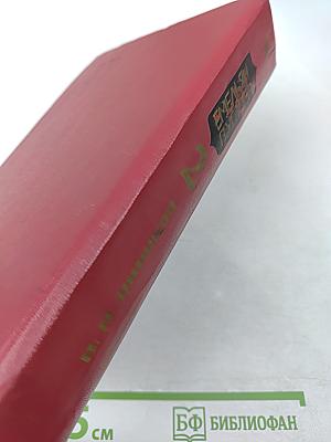 Емельян Пугачев, Книга 2