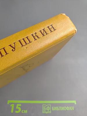 Полное собрание сочинений. Том седьмой: Критика и публицистика