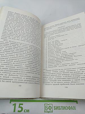 Твой девятнадцатый век