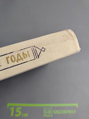 Тревожные годы. Рассказы и повести русских писателей 80-х годов XIX века