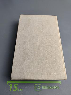 Графиня де Монсоро