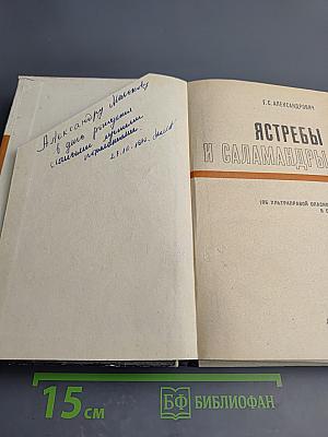 Ястребы и саламандры (Об ультраправой опасности в США)