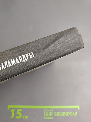 Ястребы и саламандры (Об ультраправой опасности в США)