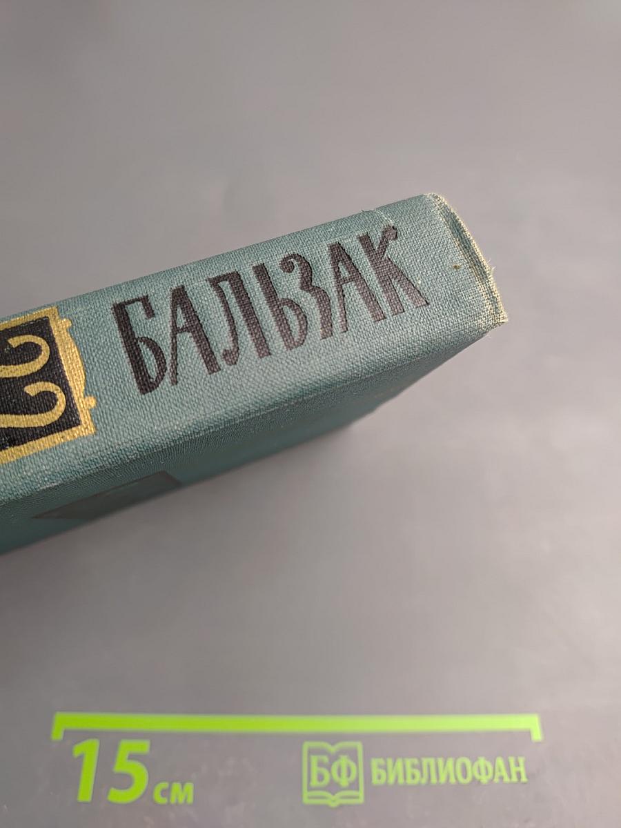 Пьесы. Собрание сочинений в 24 томах. Том 22