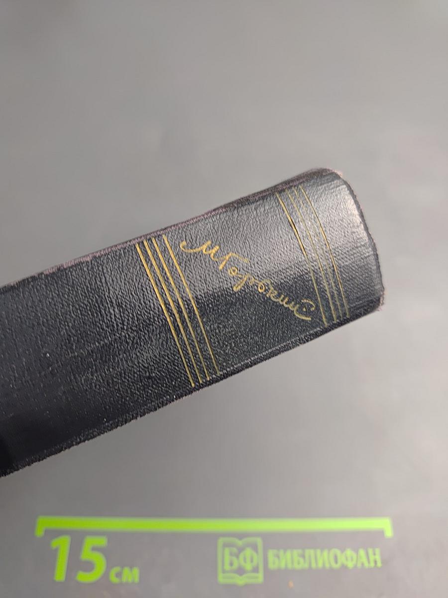 Жизнь Клима Самгина. Часть четвертая. Том 22