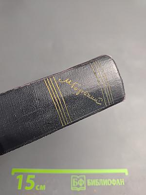 Жизнь Клима Самгина. Часть четвертая. Том 22