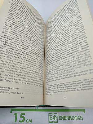 Алексеевский РАВЕЛИН. Секретная государственная тюрьма России в XIX веке. Книга 1