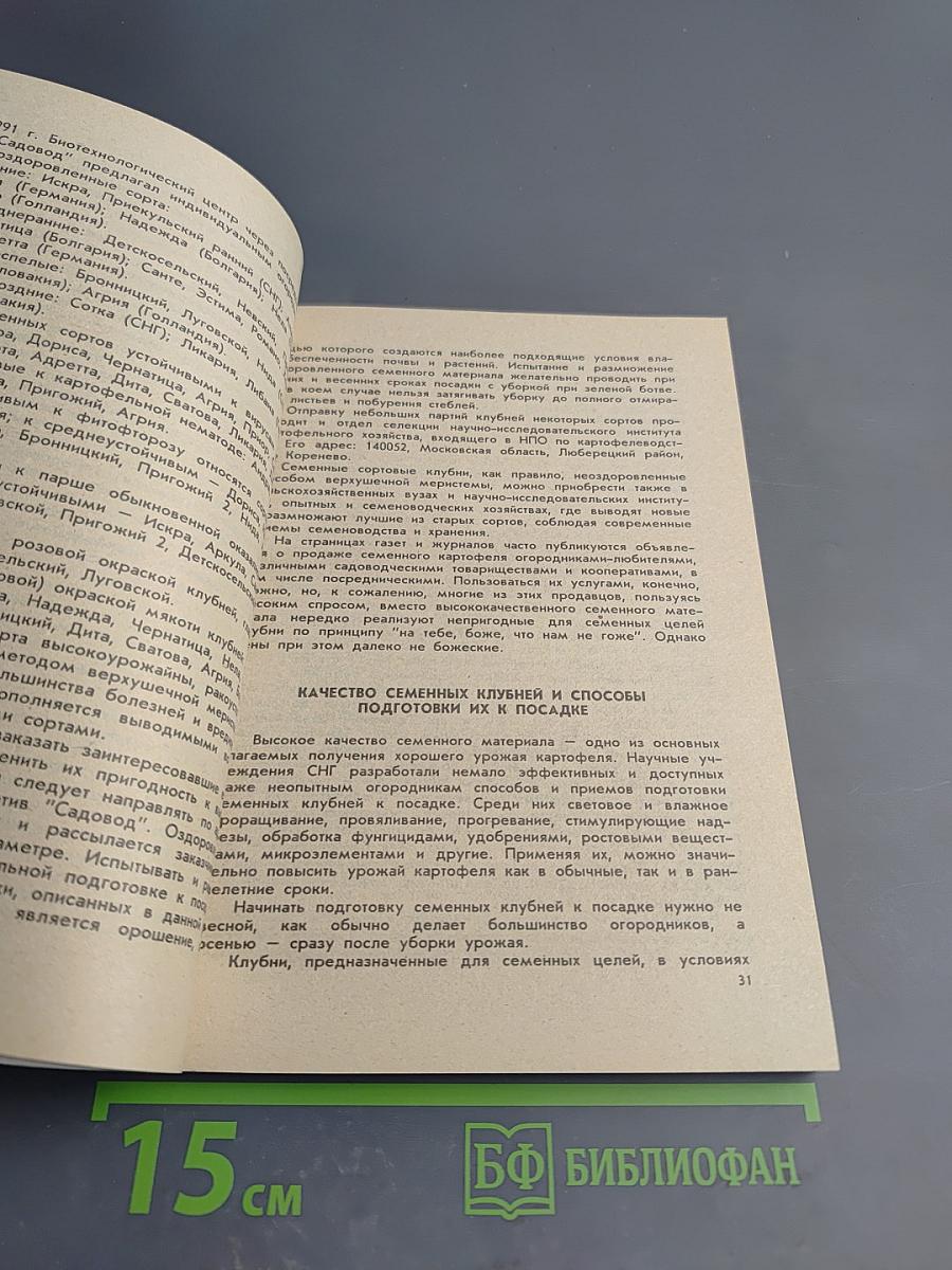 Картофель в огороде и на столе