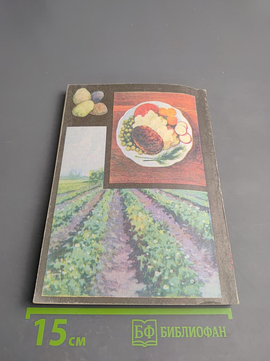 Картофель в огороде и на столе