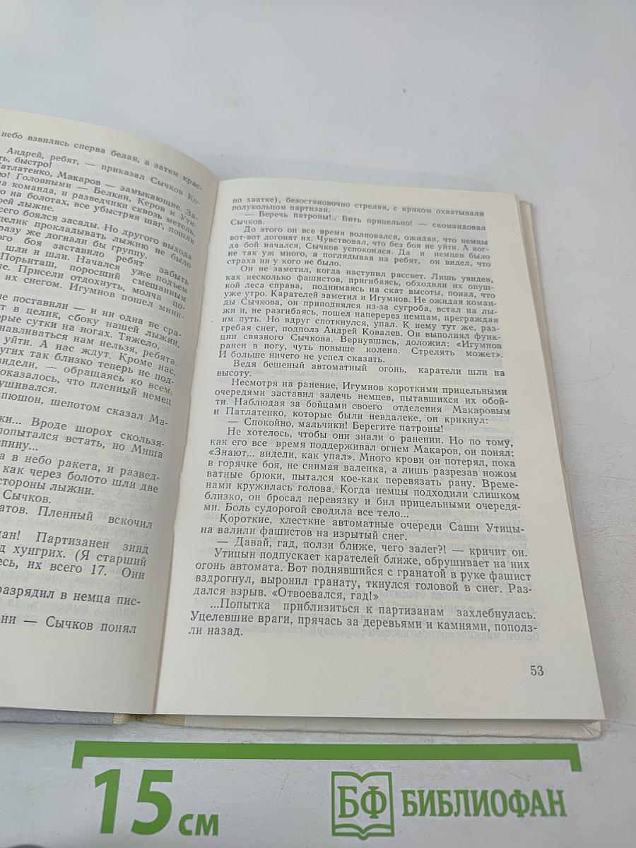 Партизаны Заполярья