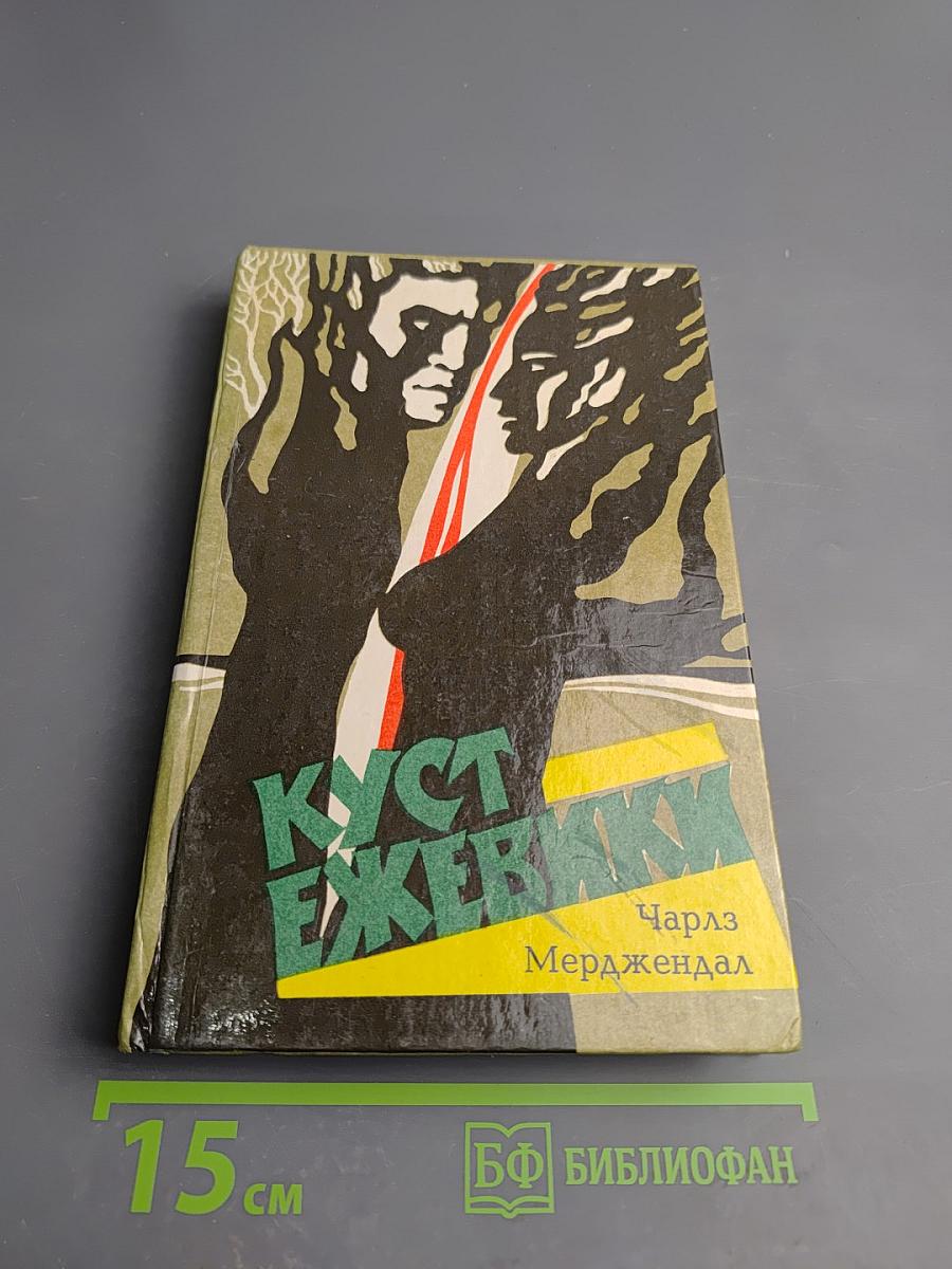 Куст ежевики