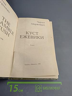 Куст ежевики