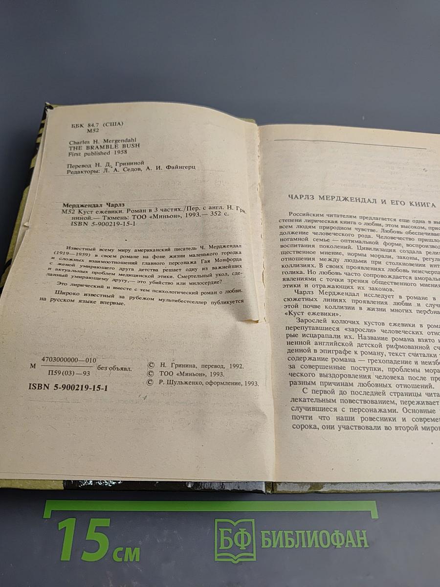 Куст ежевики