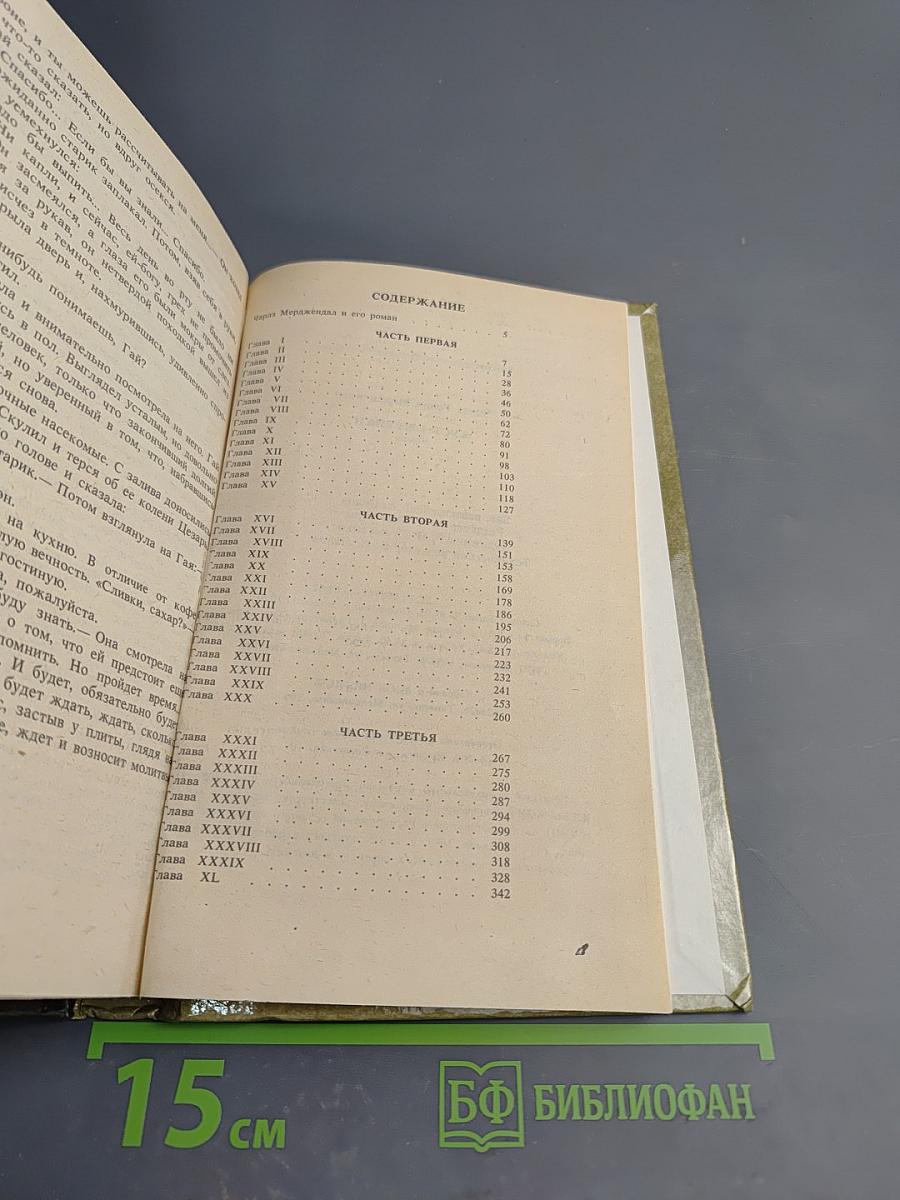 Куст ежевики