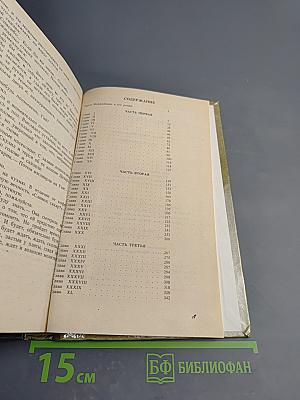 Куст ежевики