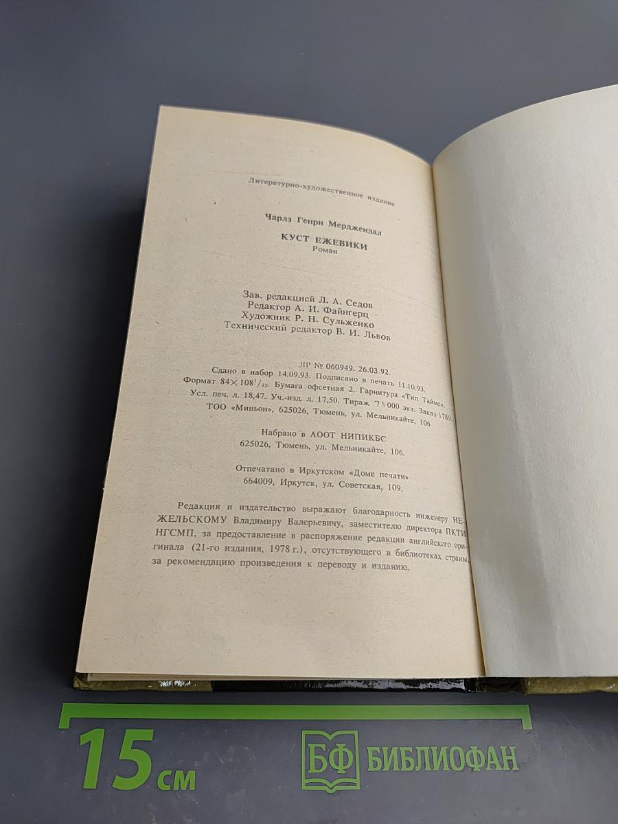 Куст ежевики