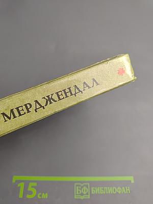 Куст ежевики