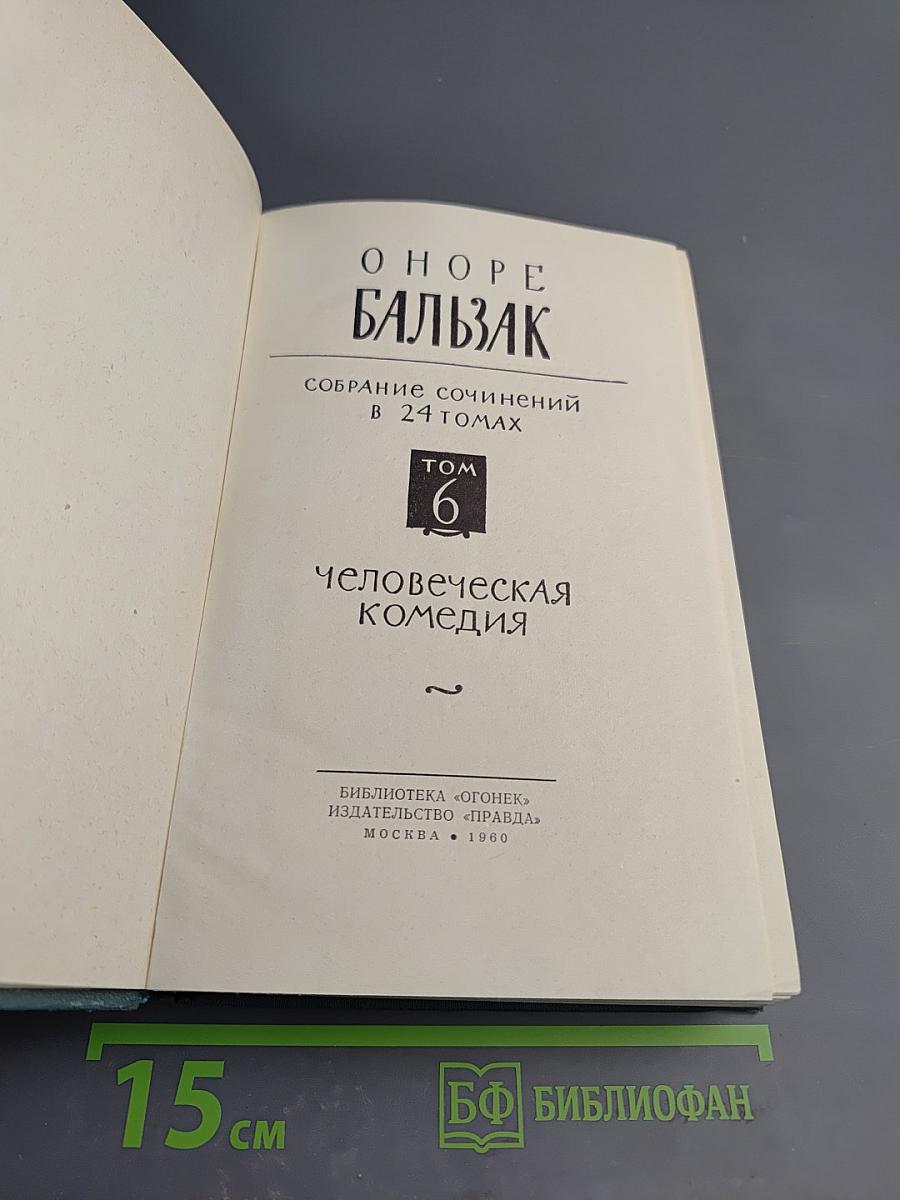 Собрание сочинений в 24 томах. Том 6: Человеческая комедия. Сцены провинциальной жизни