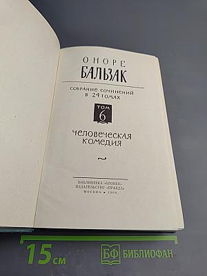 Собрание сочинений в 24 томах. Том 6: Человеческая комедия. Сцены провинциальной жизни