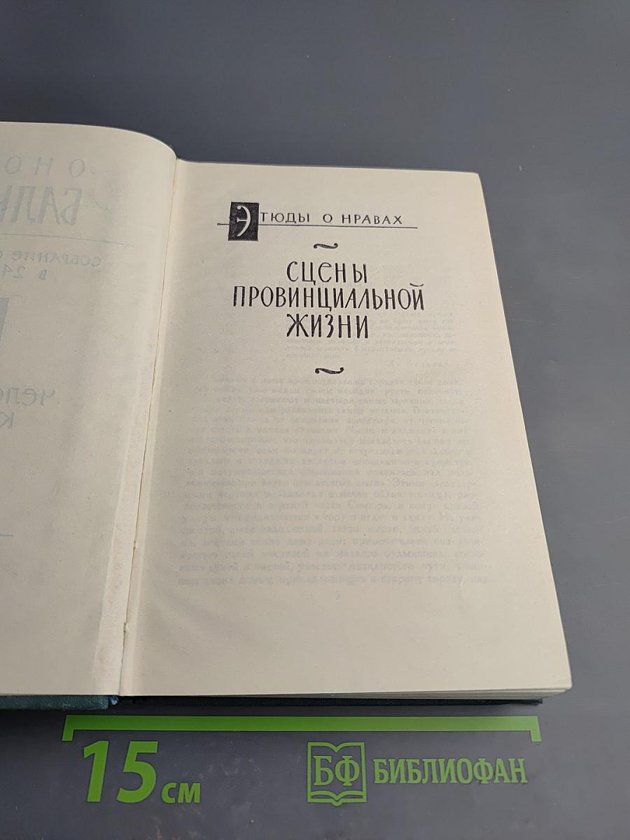 Собрание сочинений в 24 томах. Том 6: Человеческая комедия. Сцены провинциальной жизни