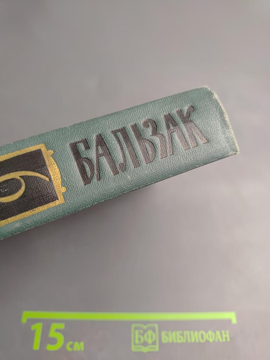 Собрание сочинений в 24 томах. Том 6: Человеческая комедия. Сцены провинциальной жизни