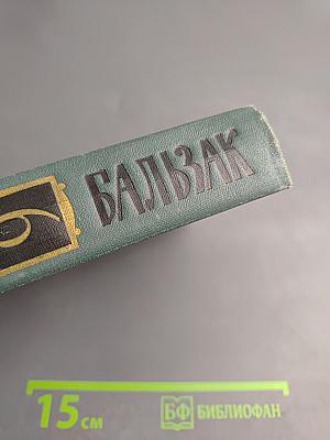 Собрание сочинений в 24 томах. Том 6: Человеческая комедия. Сцены провинциальной жизни