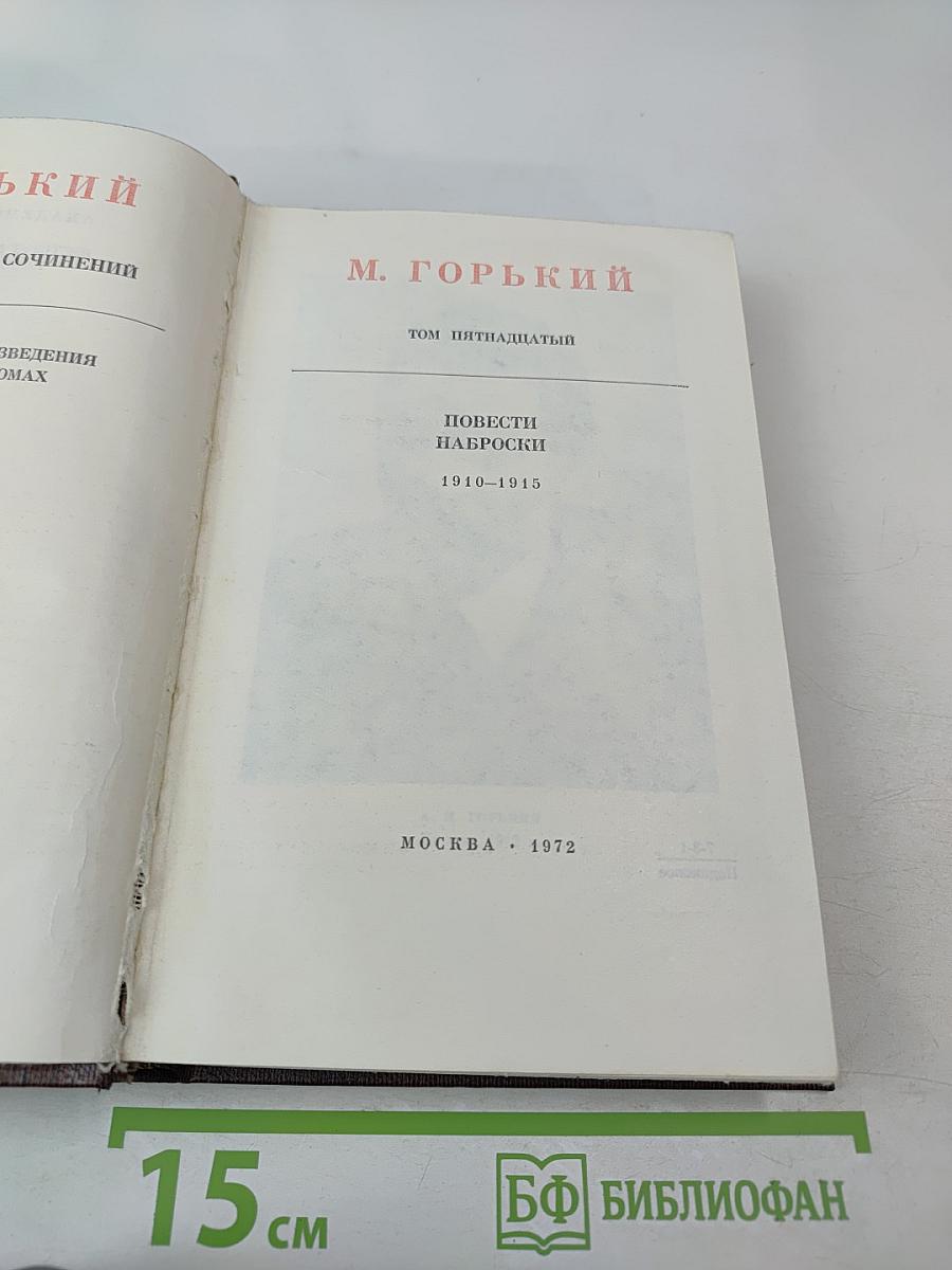 Собрание сочинений. Том пятнадцатый: Повести. Наброски 1910-1915