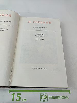 Собрание сочинений. Том пятнадцатый: Повести. Наброски 1910-1915