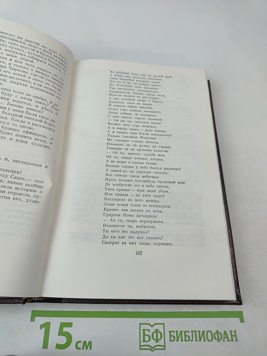 Собрание сочинений. Том пятнадцатый: Повести. Наброски 1910-1915