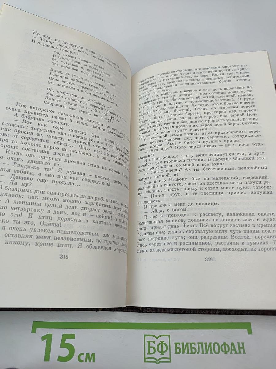 Собрание сочинений. Том пятнадцатый: Повести. Наброски 1910-1915