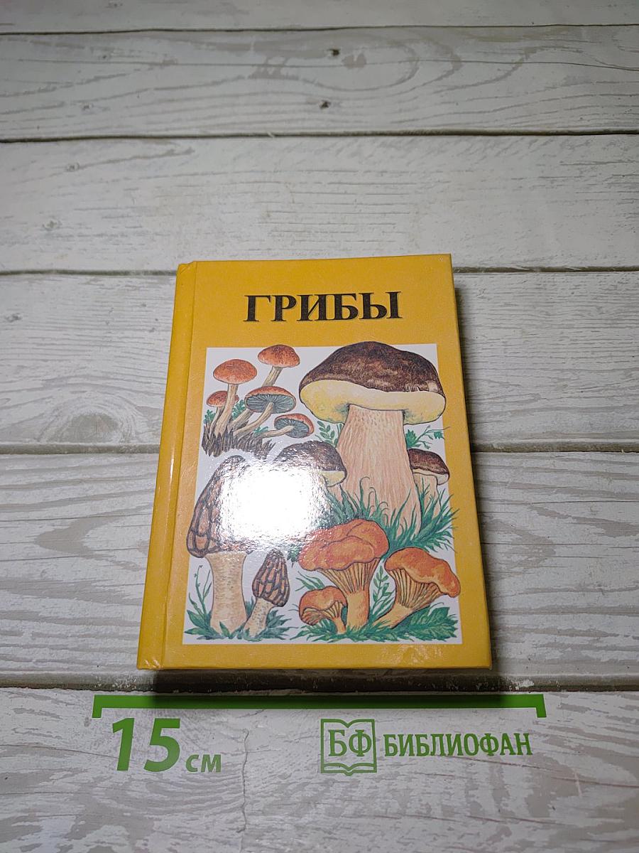 Грибы