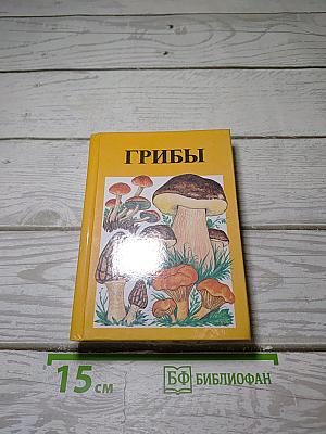 Грибы