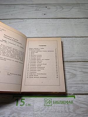 Грибы